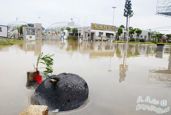 &ldquo;Ī����&rdquo;��ʯʨ��½ ��3��������������856��(��ͼ)