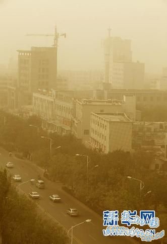 �½���³������������������(ͼ)