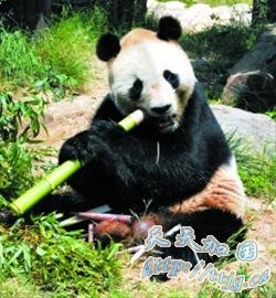 �з����յ�����è&ldquo;ȡ����&rdquo; ������50����Ԫ(ͼ)