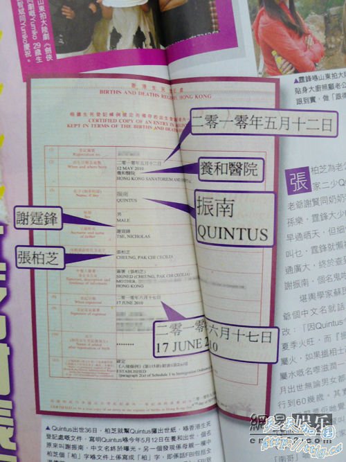 港媒曝谢霆锋出生登记表。