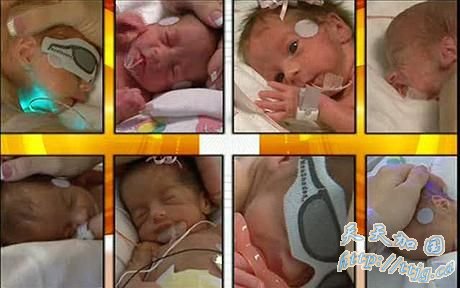 ����8��̥ĸ��������˽����Ʒ ���⾭�ý���(ͼ)