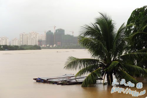 2010��10��5�գ�������������ǿ���꣬��Ȫ��ˮ���ǡ���ѧ�� / ����IC