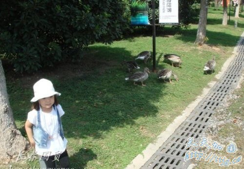 黄健翔女儿近照曝光。