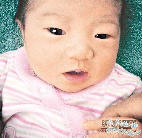 林嘉欣女儿模样可爱。