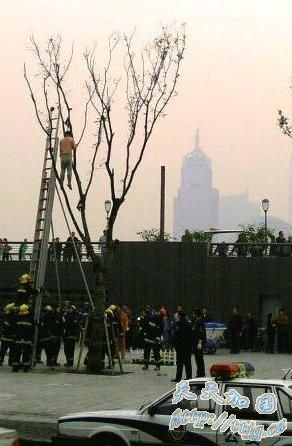 上海外滩一男子暴尸树上 死因不明(图)