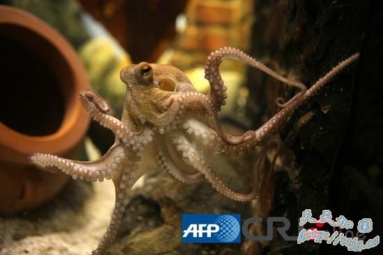 ������ͼ������&ldquo;���޶���&rdquo;�����ǳ�