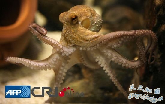 ������ͼ������&ldquo;���޶���&rdquo;�����ǳ�