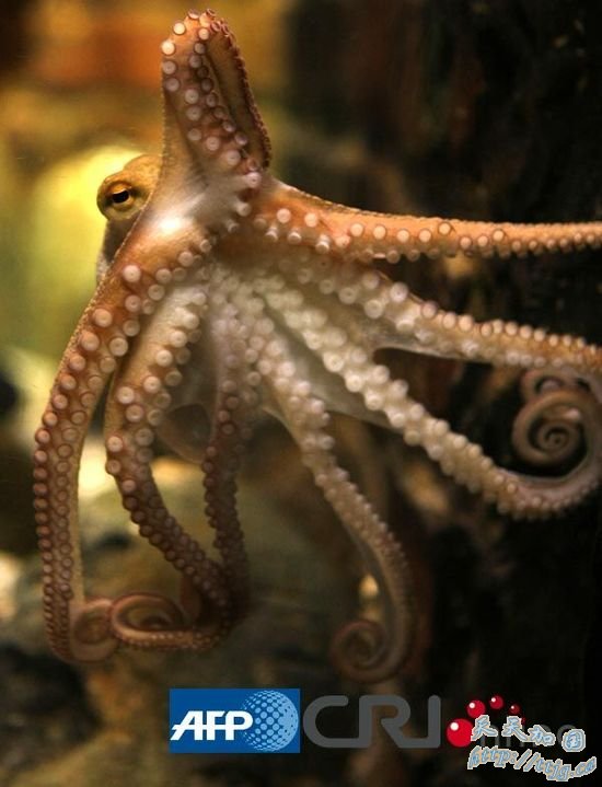 ������ͼ������&ldquo;���޶���&rdquo;�����ǳ�