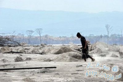 印尼默拉皮火山大爆发已造成240人死亡(图)