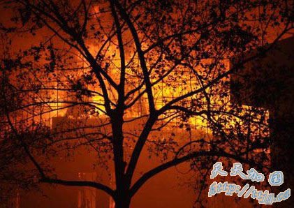 �廪��־�Խ����廪ѧ����� ľ�ṹ��������