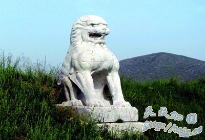 ������ʼ����ر����� 36�׵���ֱͨ��Ĺ��