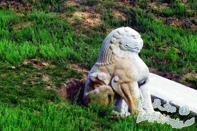 ������ʼ����ر����� 36�׵���ֱͨ��Ĺ��