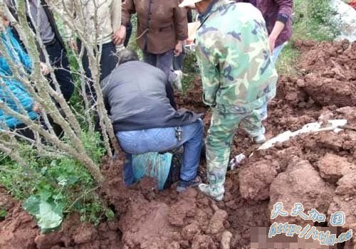 ������˾����������ǿ�е����������ñ�����