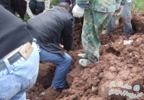 ������˾����������ǿ�е����������ñ�����