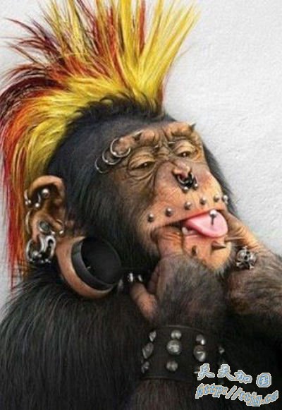 ���Ƶ�̨ǰ������ͼ&ldquo;����&rdquo;��