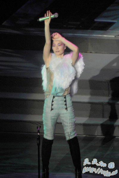 �����ֳ��������衣