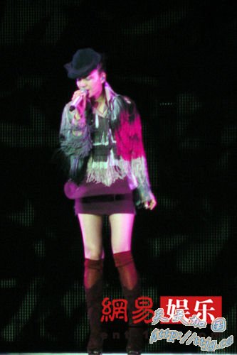 �����ݳ��������͡�