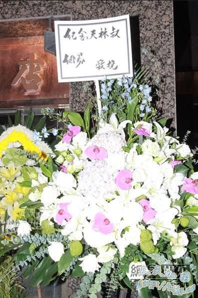 ����Ϊ�������׻�����������