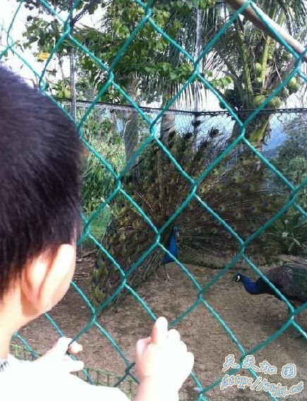 �������ض����������(��ͼ)