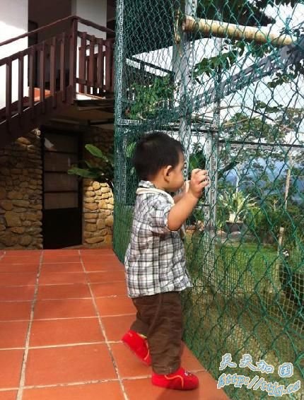 �������ض����������(��ͼ)