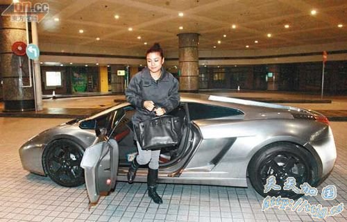 廖碧儿提价值10万元名牌手袋。