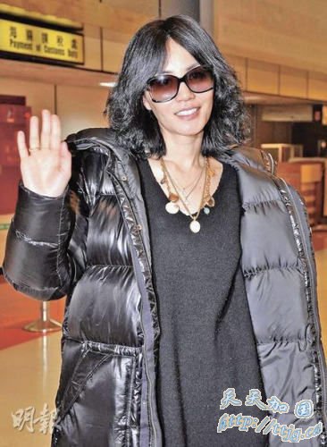 点图查看下一页 王菲亲切抵台妙语连珠 佛心寻宝大玩反拍(图)