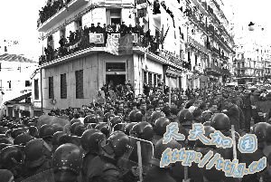 阿尔及利亚300人示威起冲突(组图)