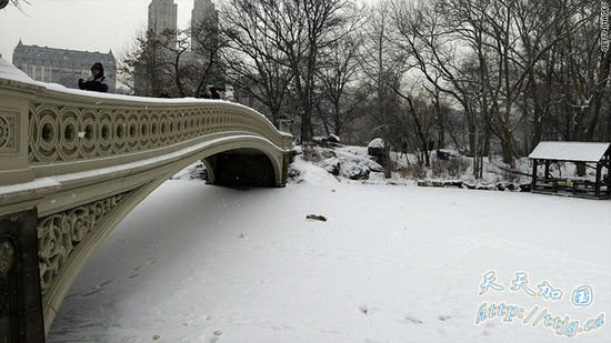 美东北遭新一轮暴雪袭击 上千航班被迫取消(图)