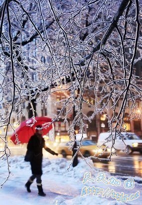 冰雨暴雪席卷美国30州 13000次航班被取消(组图)