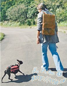 林熙蕾承认新恋情 朱孝天写微博暗示被背叛(图)