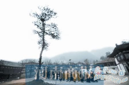 河南商报记者 王棣 文/图 河南商报记者 王棣 文/图