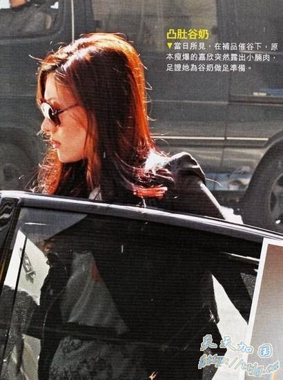 李嘉欣