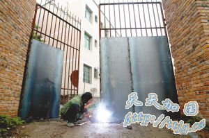 重庆7名小学生在校内遭流浪狗撕咬头颈部