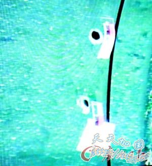 ǹս˳µĵ