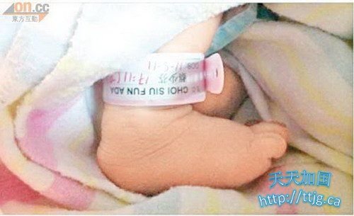 蔡少芬网上晒爱女脚板 杨婉仪路过无暇看望(图)