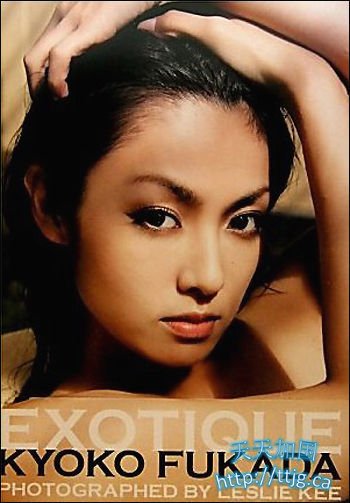 深田恭子资料图