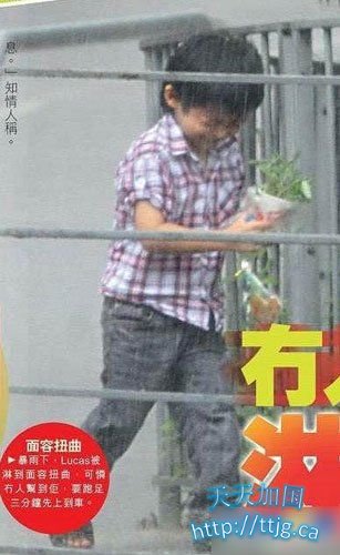 lucas���굽������������